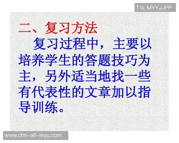 足球暴力行为的根源与影响探讨及其对体育精神的挑战